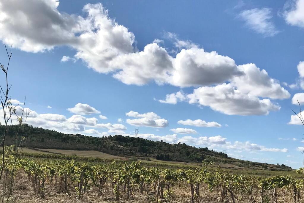 Appartement Le Jutini Caunes-Minervois Εξωτερικό φωτογραφία